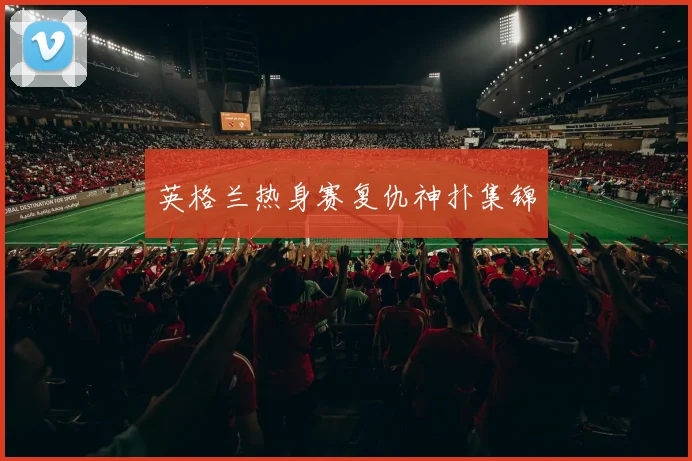 英格兰热身赛复仇神扑集锦