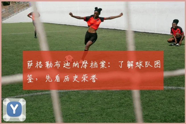 萨格勒布迪纳摩档案：了解球队图鉴，先看历史荣誉