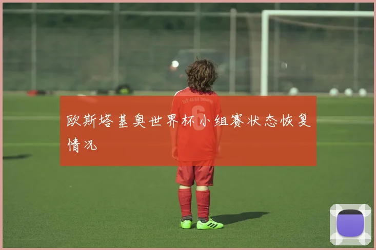 欧斯塔基奥世界杯小组赛状态恢复情况