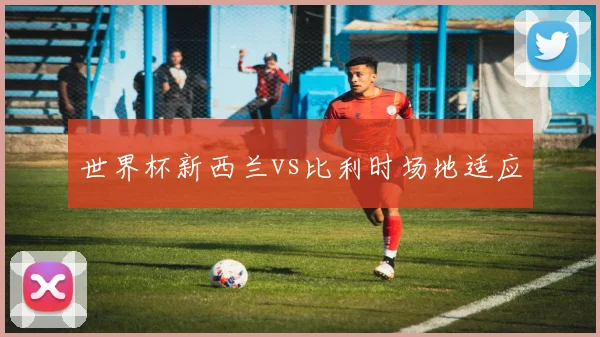 世界杯新西兰vs比利时场地适应